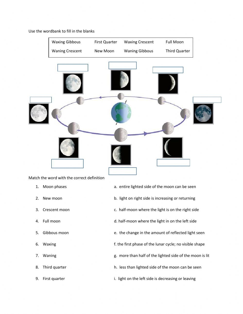 Phases Of The Moon Worksheet