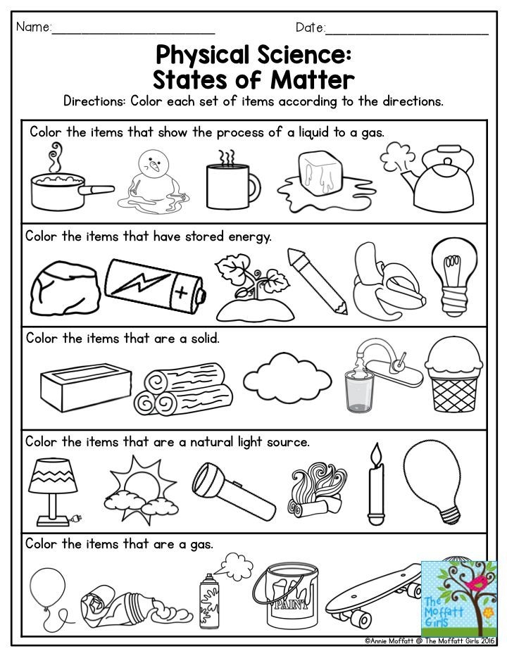 Physical Science Worksheets For Kindergarten Scienceworksheets