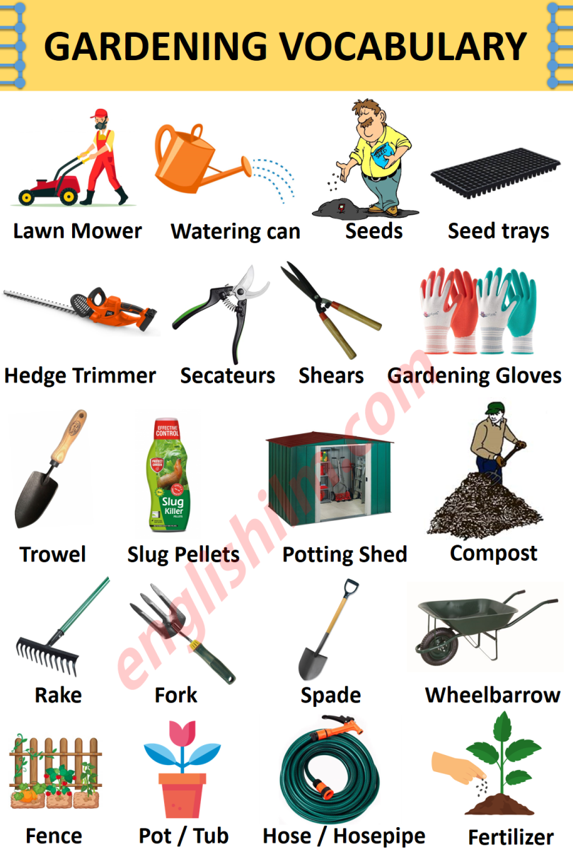 Pin By English Ilm On Pictures Vocabulary Vocabulary English