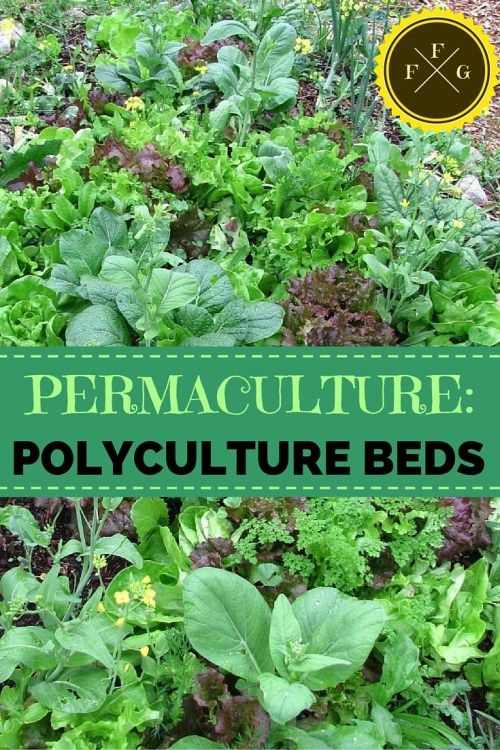Polyculture Gardening Examples Artofit