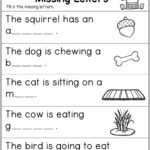 Printable 1st Grade Worksheets Printable Worksheets