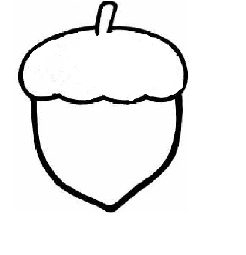 Printable Acorn Pictures ClipArt Best