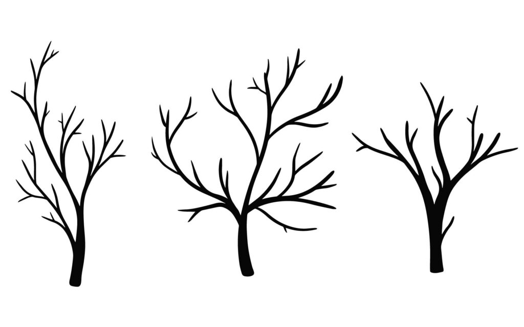 Printable Bare Tree Template Tree Templates Fall Leaf Template Leaf