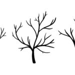 Printable Bare Tree Template Tree Templates Fall Leaf Template Leaf