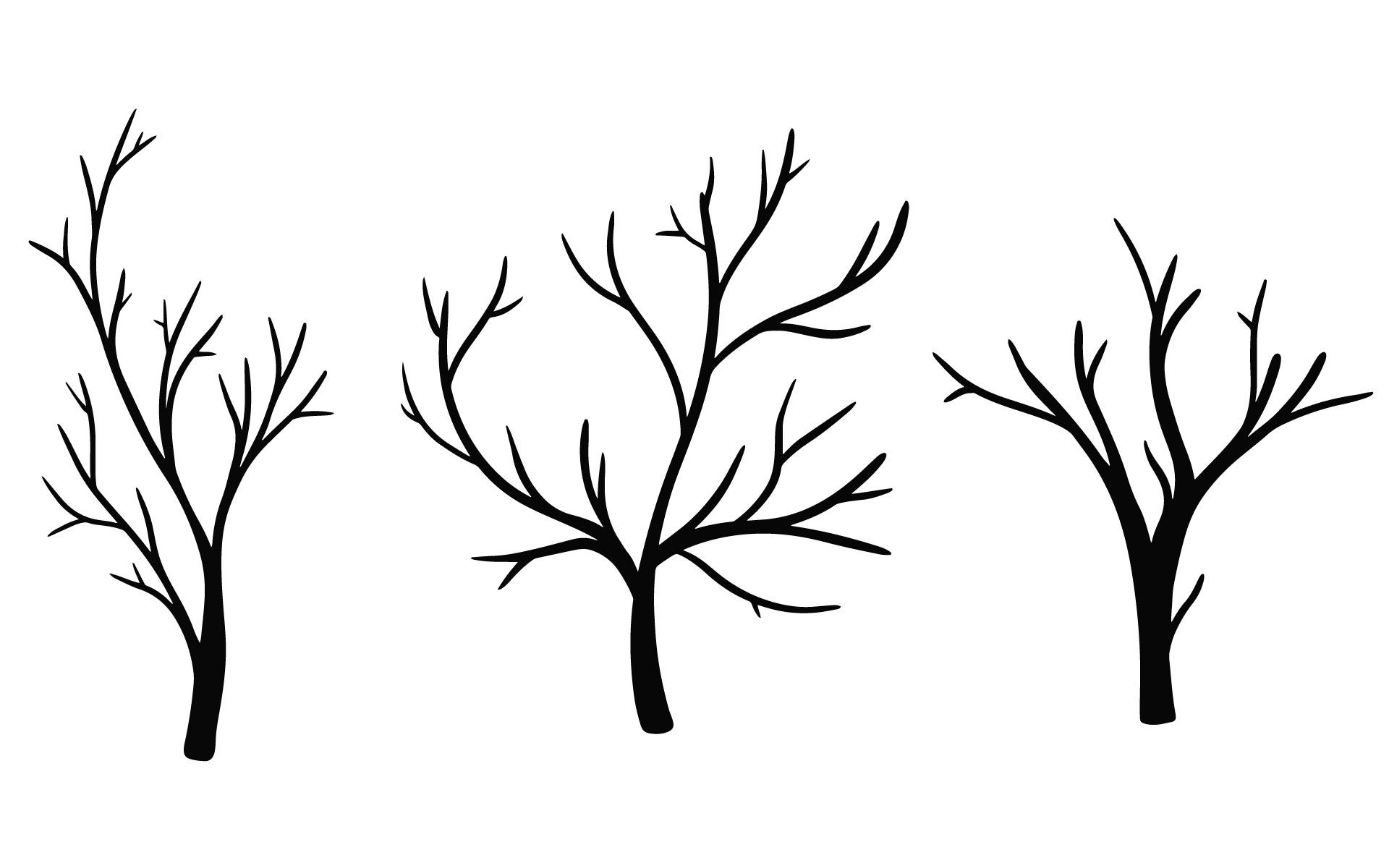 Printable Bare Tree Template Tree Templates Fall Leaf Template Leaf 