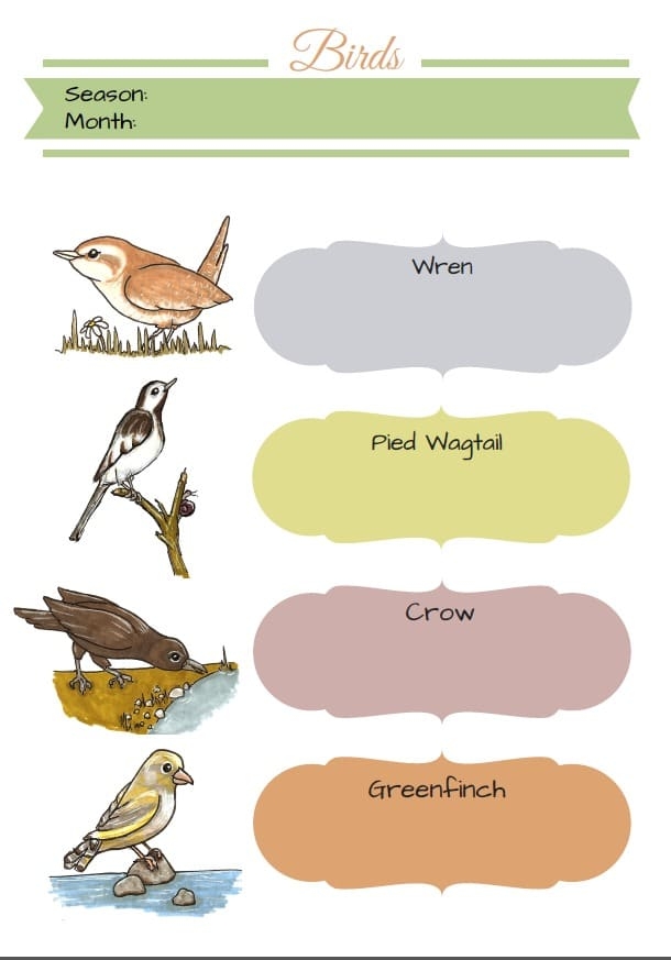 Printable Bird Chart