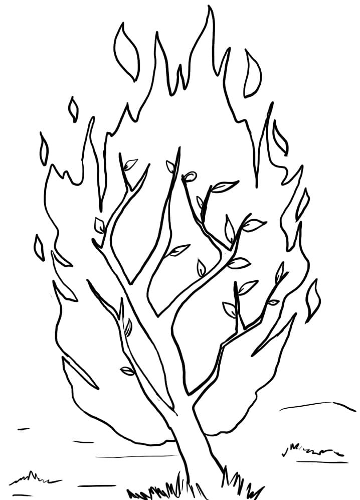 tree bush printable