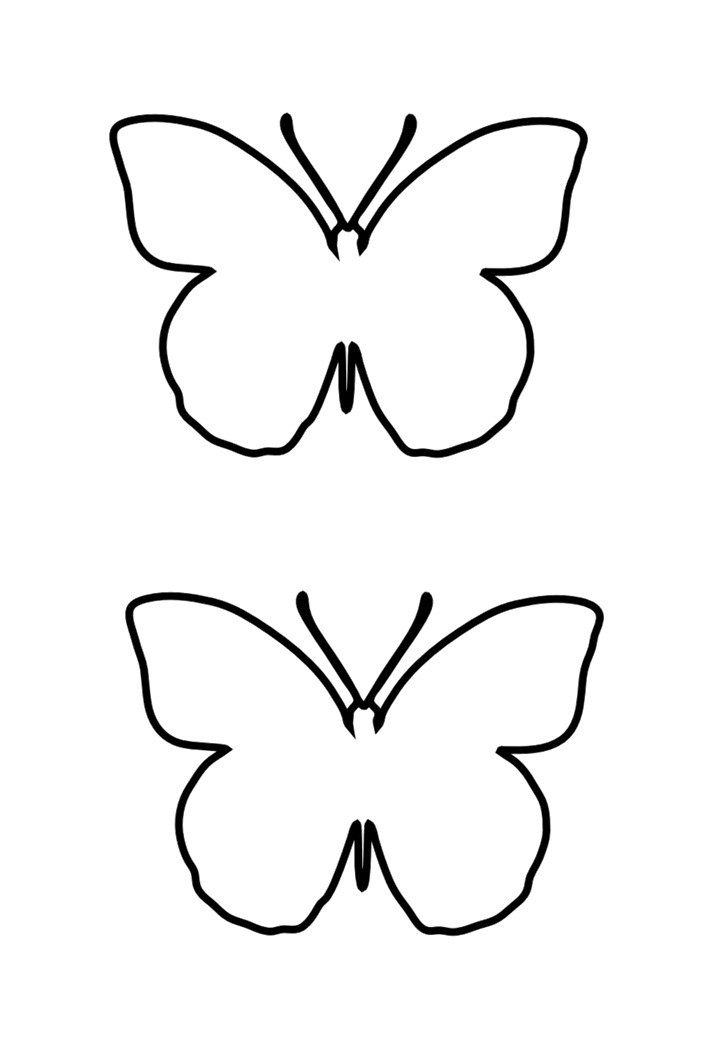 free printable butterfly template
