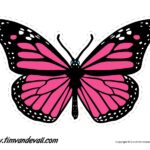 Printable Butterfly Tim Van De Vall