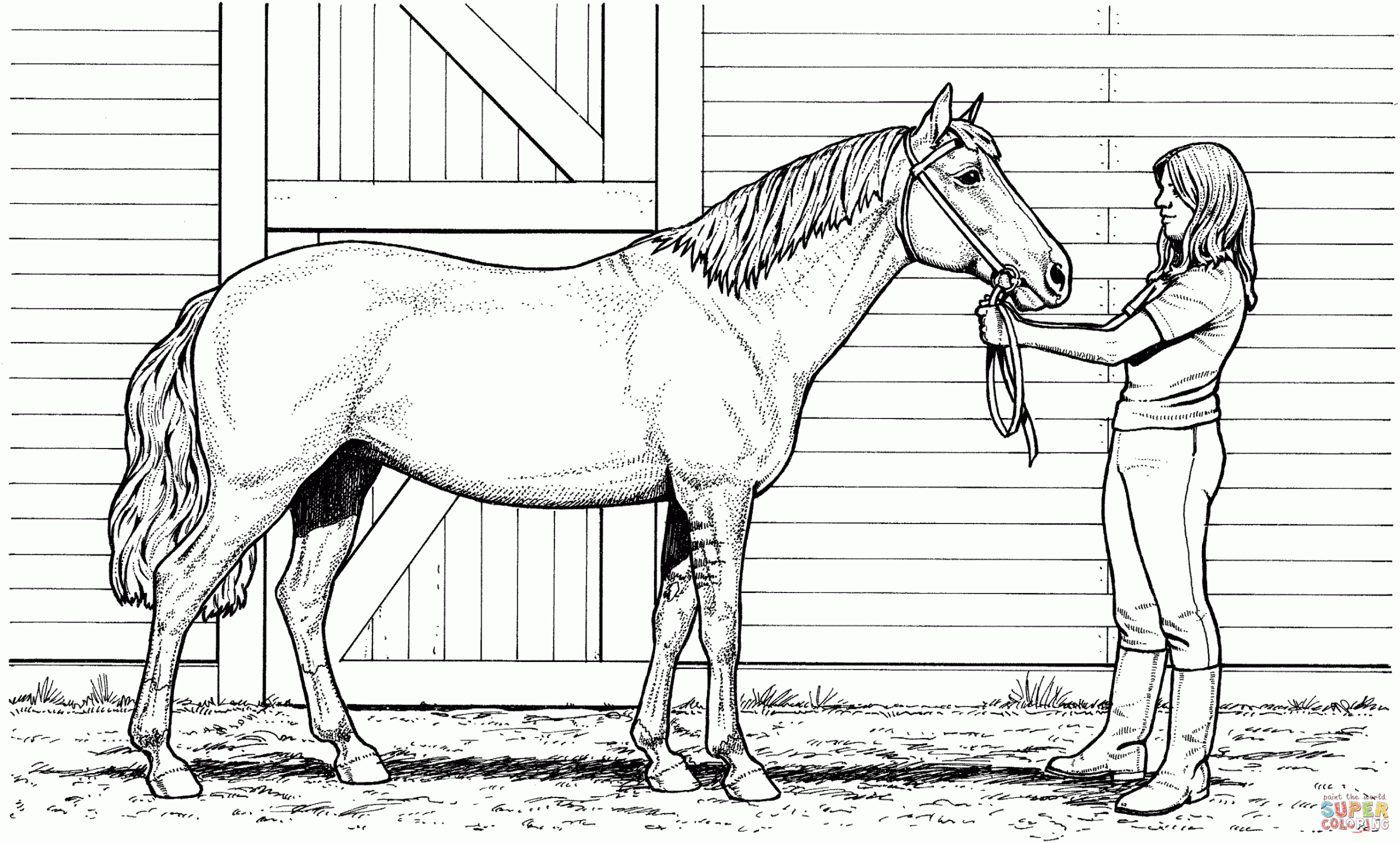 Horse Coloring Page
