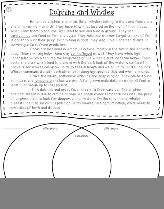 Printable Compare And Contrast Worksheets Peggy Worksheets