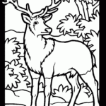 Printable Deer Coloring Pages Coloring Home