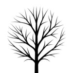 Printable Fall Tree Template Free Printable