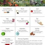 Printable Garden Planner Template Fitywall