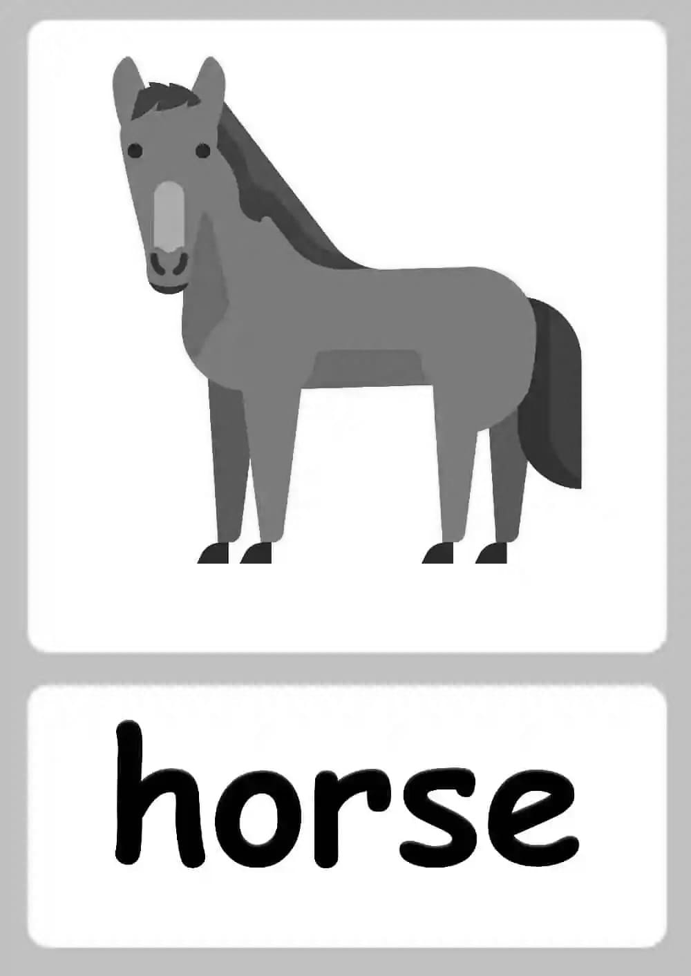 Printable Horse Color Flashcards Free Download And Print For You