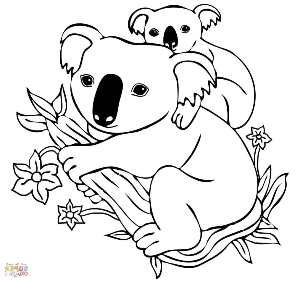 Printable Koala