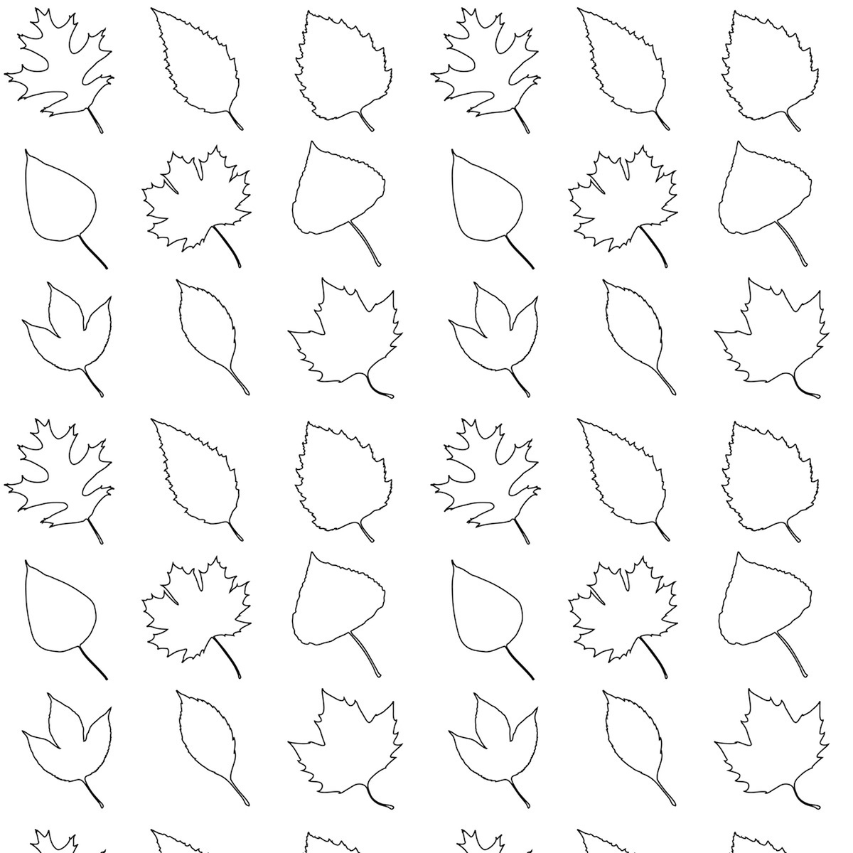 printable picture of leaves