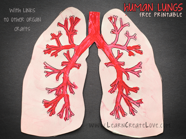 Printable Lungs Craft