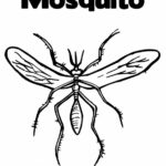 Printable Mosquito Coloring Page