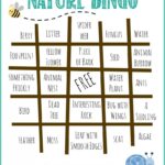 Printable Nature Bingo Motorsgsa