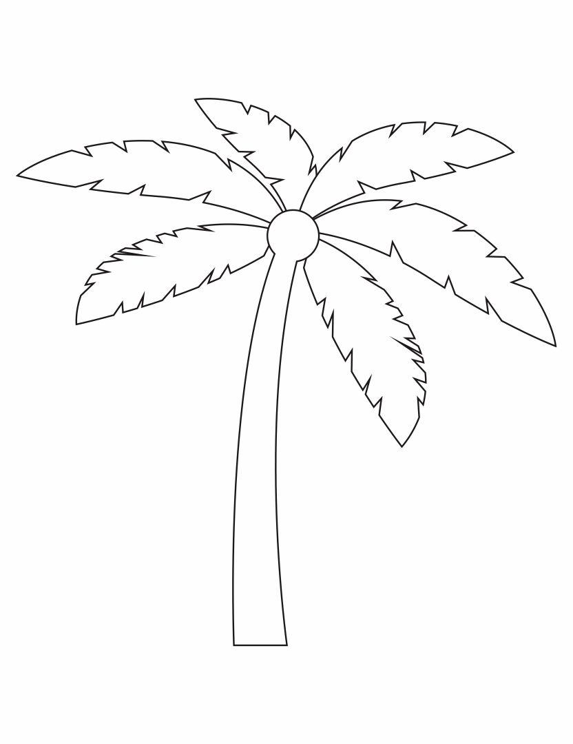 Printable Palm Tree Stencil Printable Word Searches