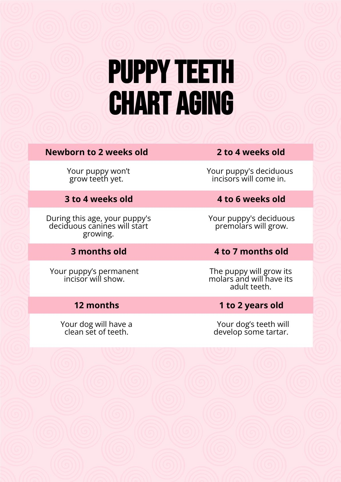 Printable Puppy Teeth Chart