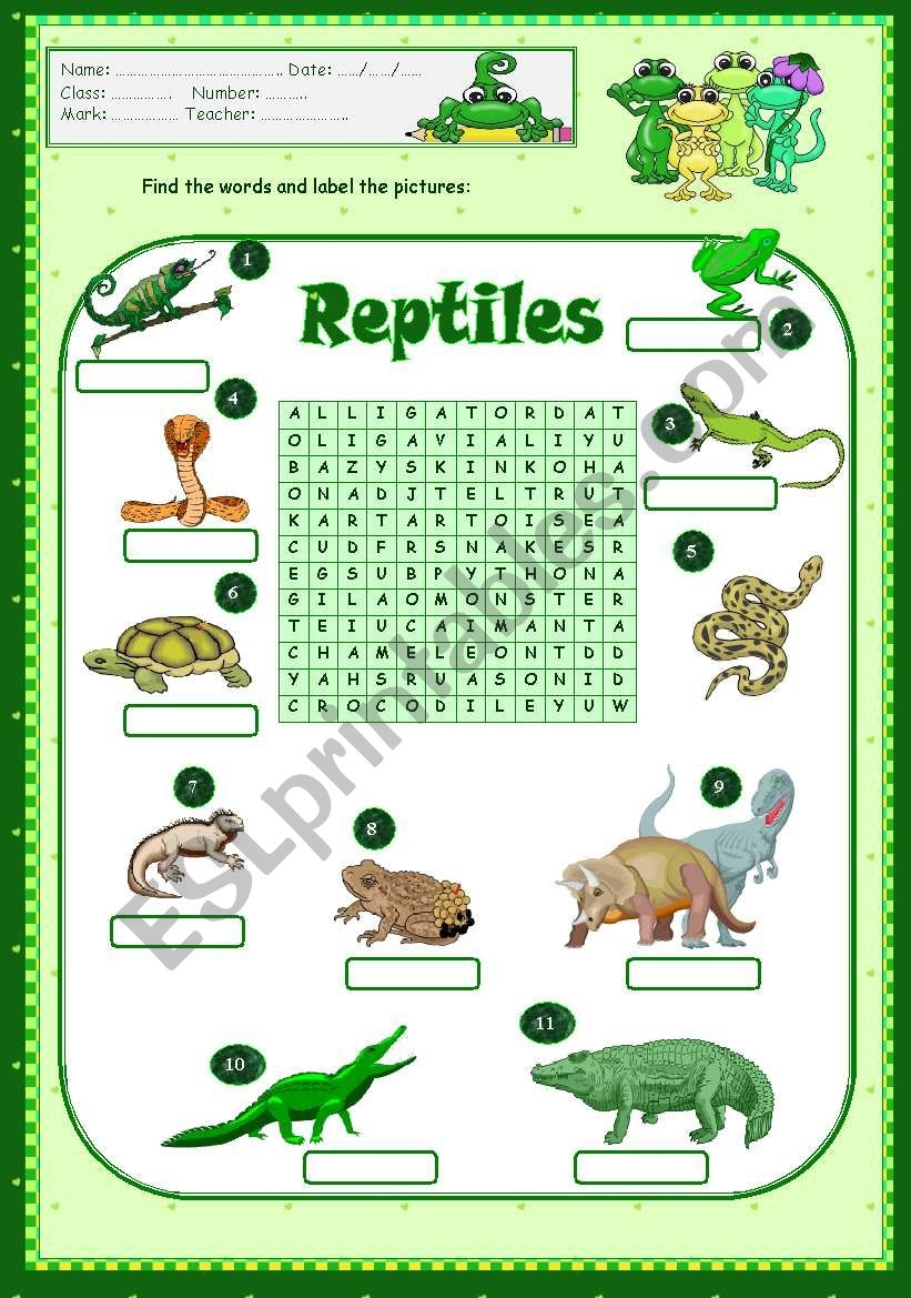 Printable Reptile Activities For Preschoolers Printable Free Templates