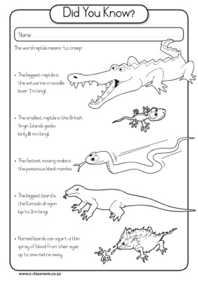 printable reptile activities for preschoolers