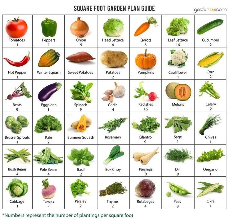square foot gardening printable grid