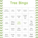 Printable Tree Bingo