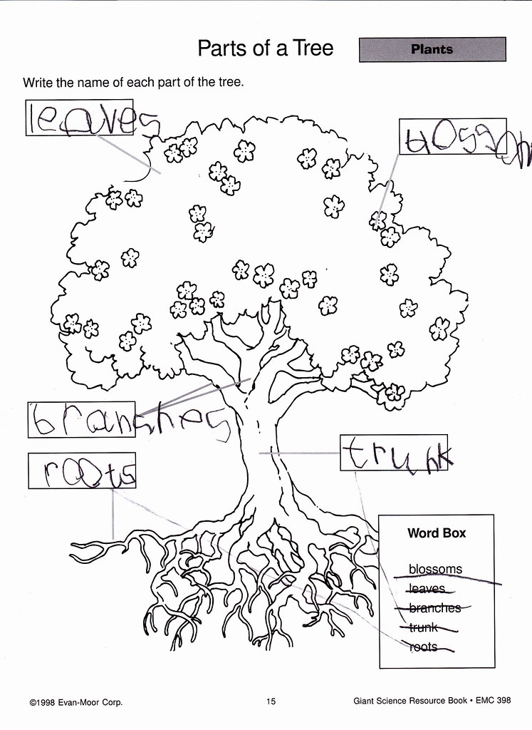 Printable Tree Parts