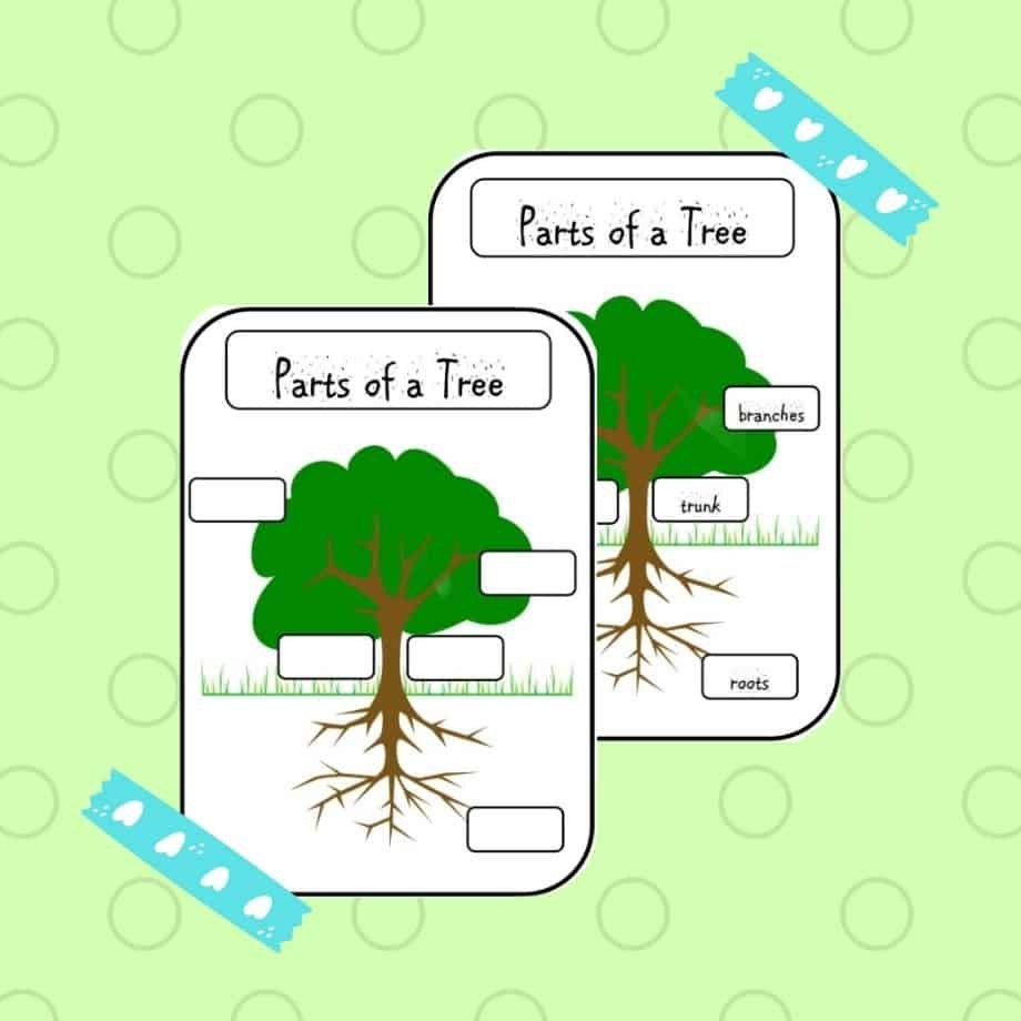 Printable Tree Parts