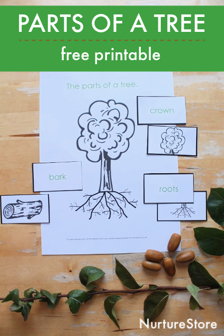 Printable Tree Parts