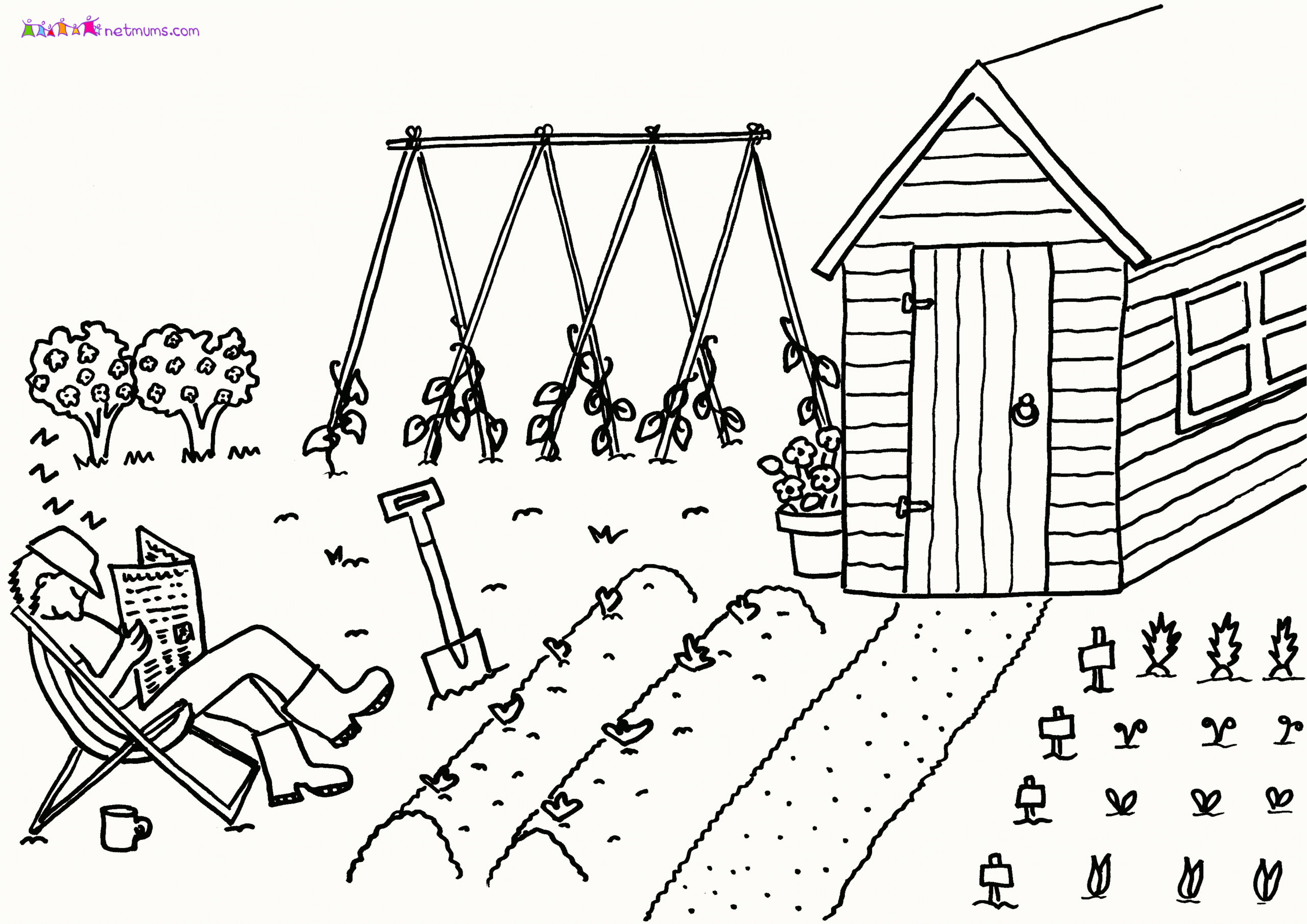garden colouring printable