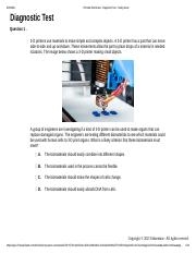 Printable Worksheet Diagnostic Test Study Island pdf 8 20 2021 
