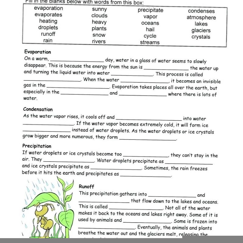 6th grade science worksheets
