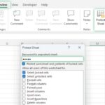 Protect And Unprotect Worksheet Documentation Worksheets Library