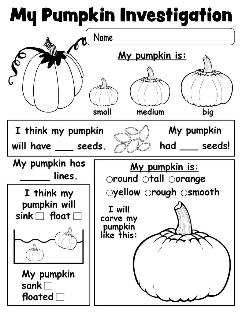 science investigation worksheet