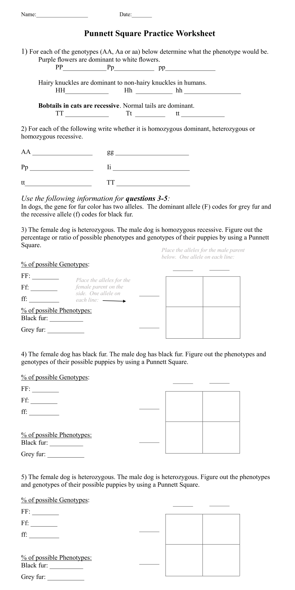 punnett square practice worksheet answer key