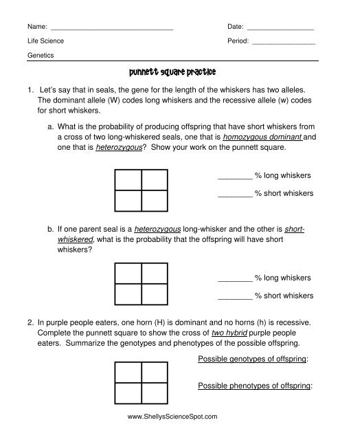 Punnett Square Practice Worksheets Library