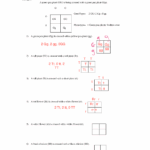 Punnett Square Worksheet PDF Worksheets Library
