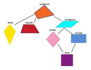 Quadrilateral Family Tree By Montessori Tails Teachers Pay Teachers