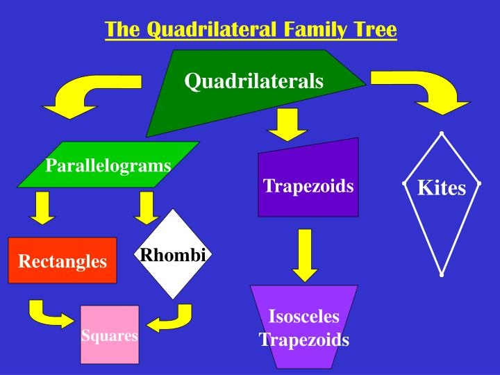 quadrilateral tree printable