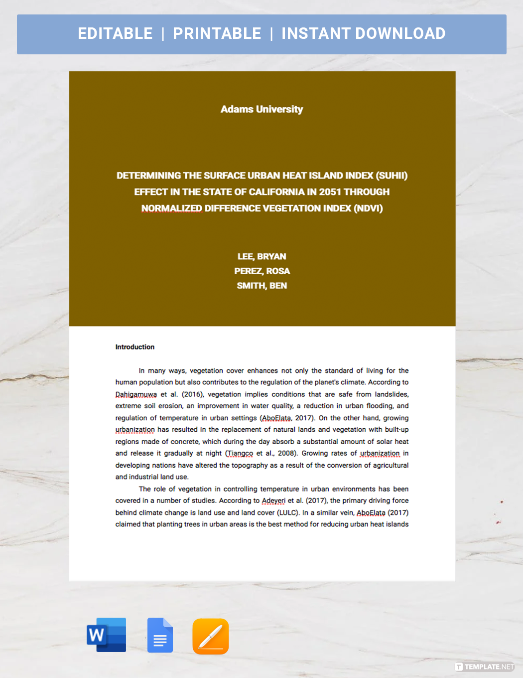 Quantitative Research Correlation Template Google Docs Word Apple