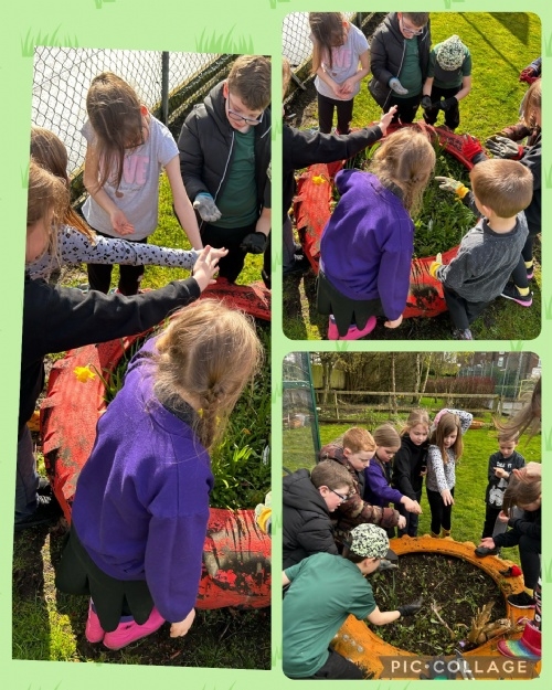 Quay Academy Gardening Club Update