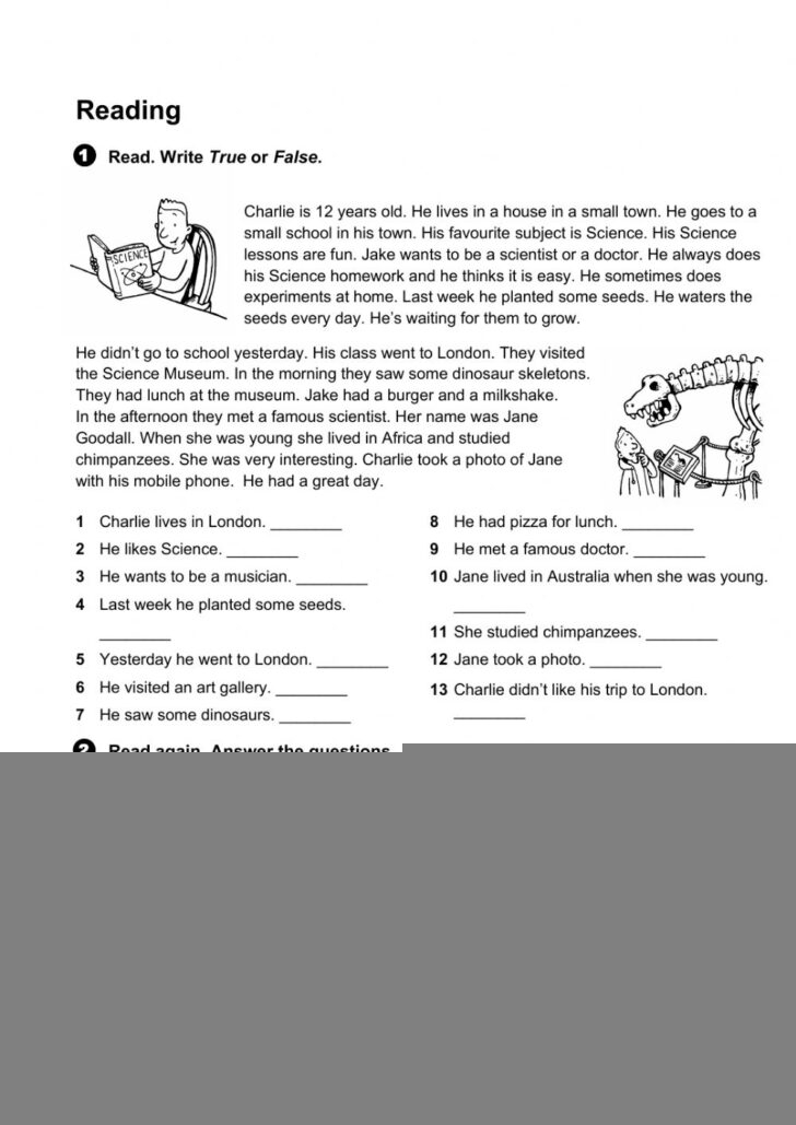 Reading Comprehension Questions Year 6 Reading Comprehension Worksheets