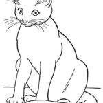 Realistic Black Cat Coloring Pages Free Printable Coloring Pages