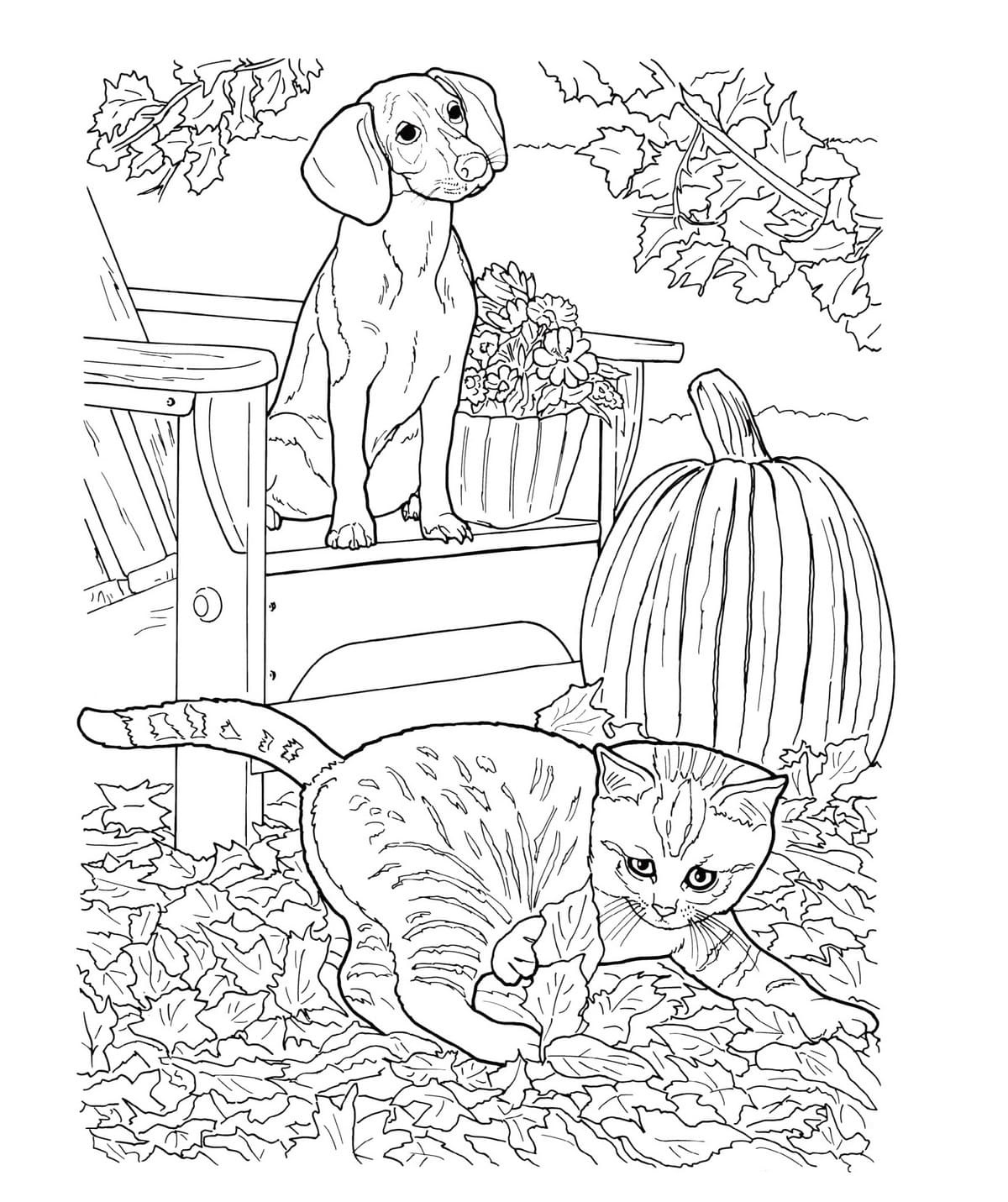 Realistic Dog And Cat