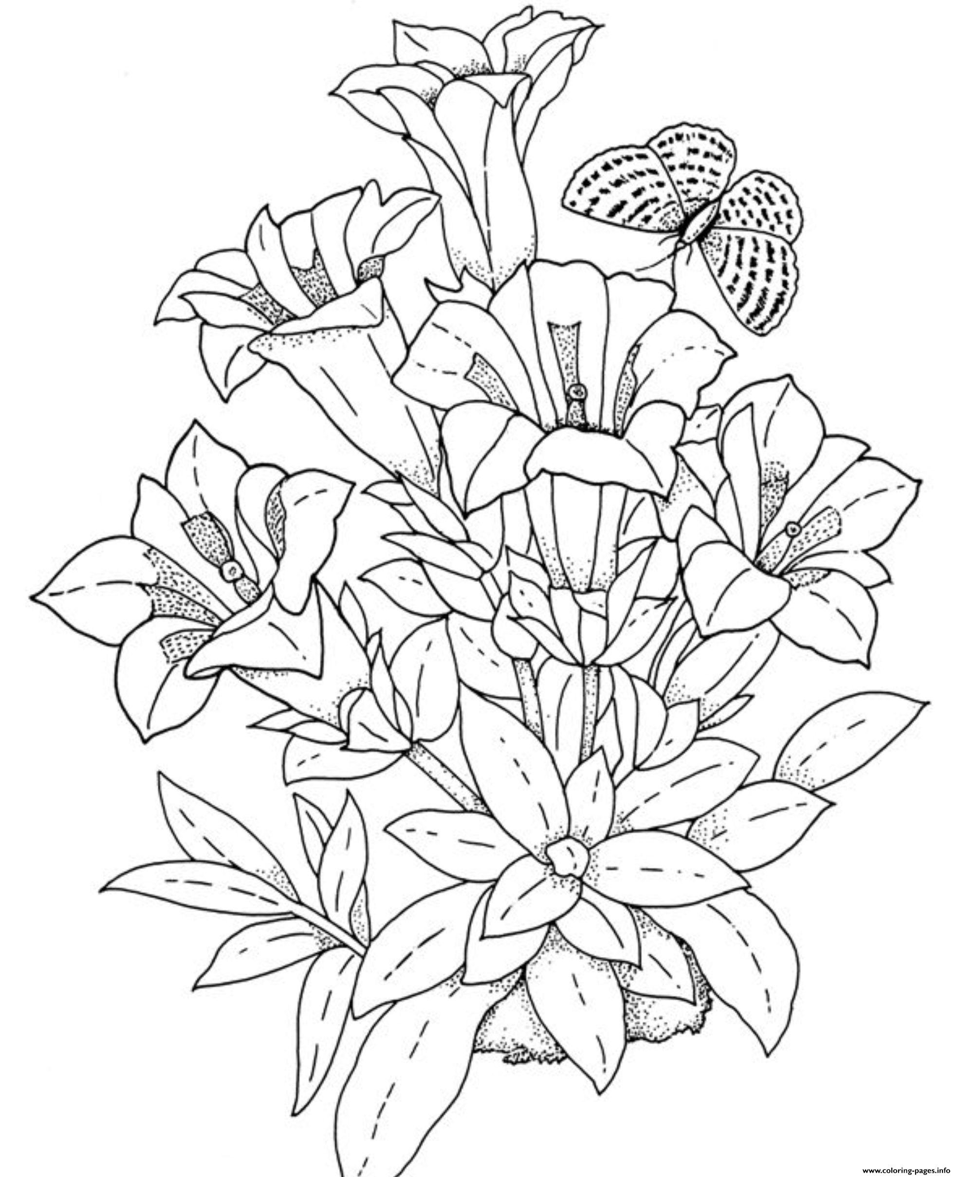 Flowers Coloring Pages