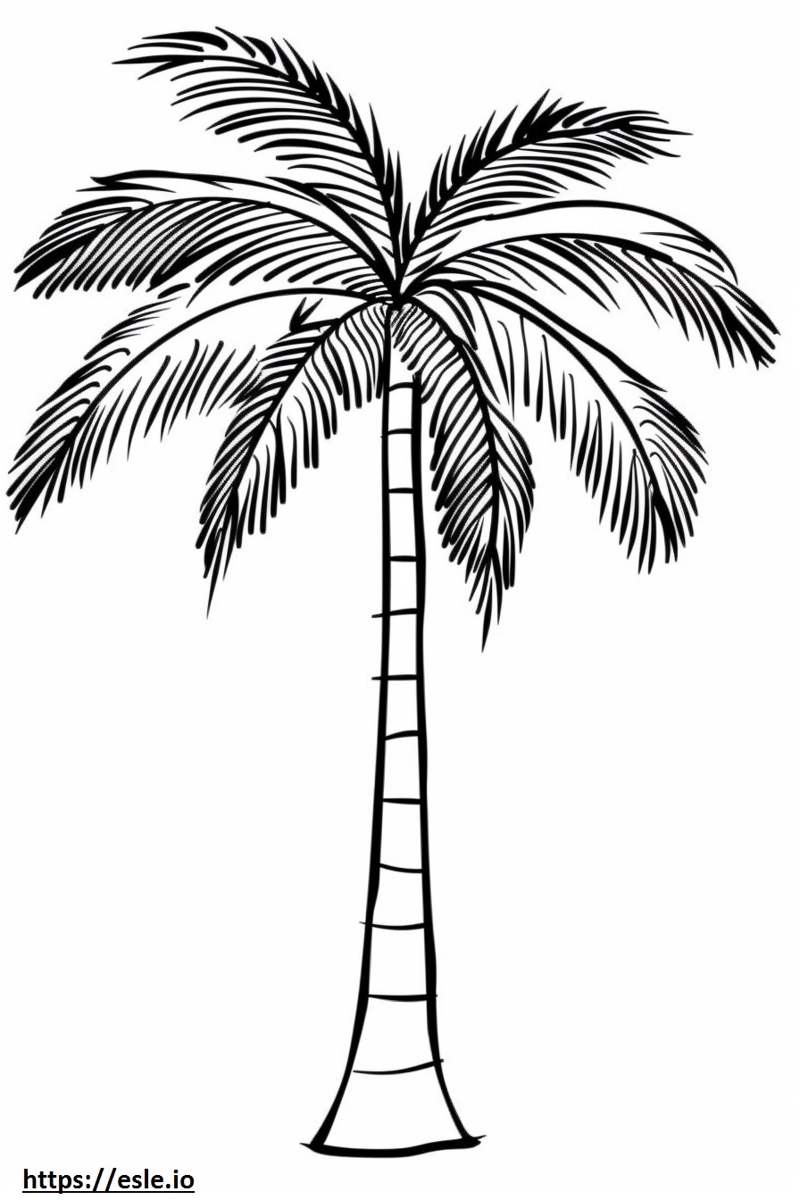 Realistic Palm Tree Free Printable